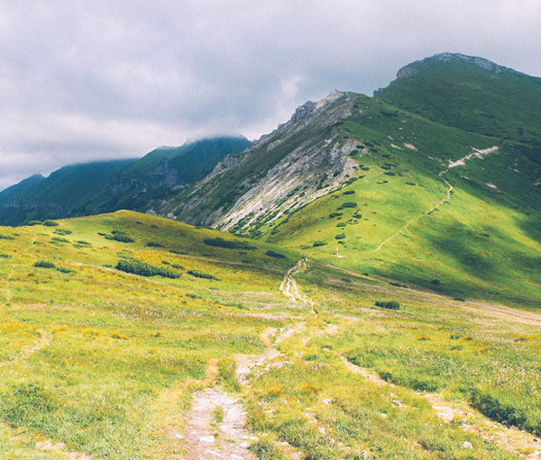 防封号外呼软件