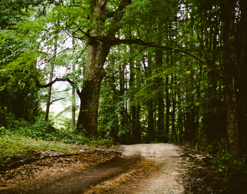 无需重启生效的手机号码轰炸机免费版